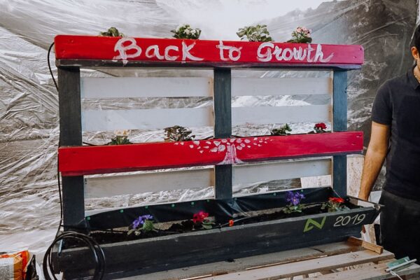 A vertical garden built by a team and given to a school