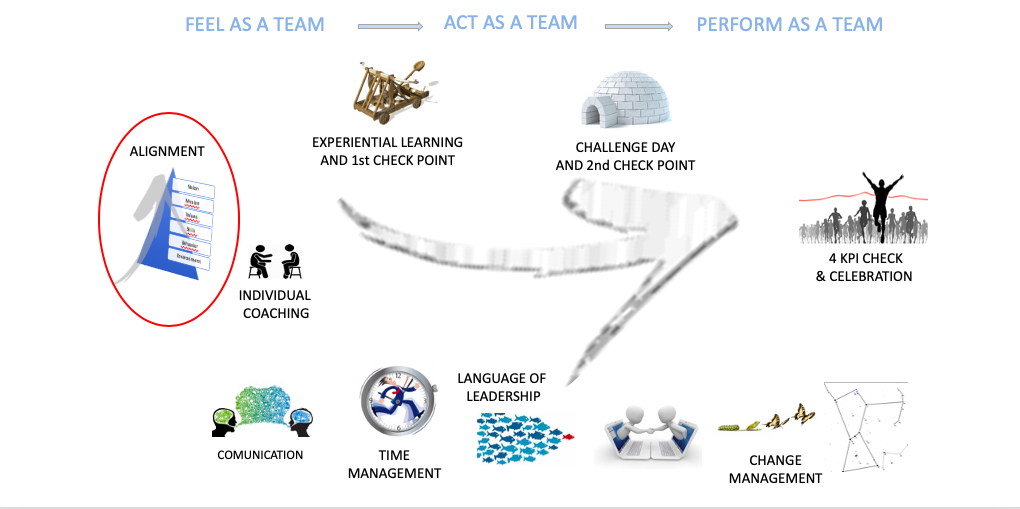 team coaching path